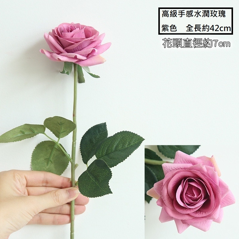 水潤角玫瑰❰紫色❱
