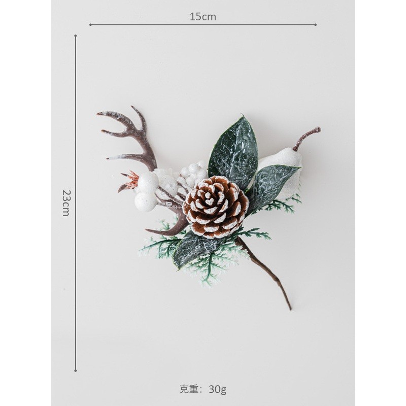 鹿角白果雪松果