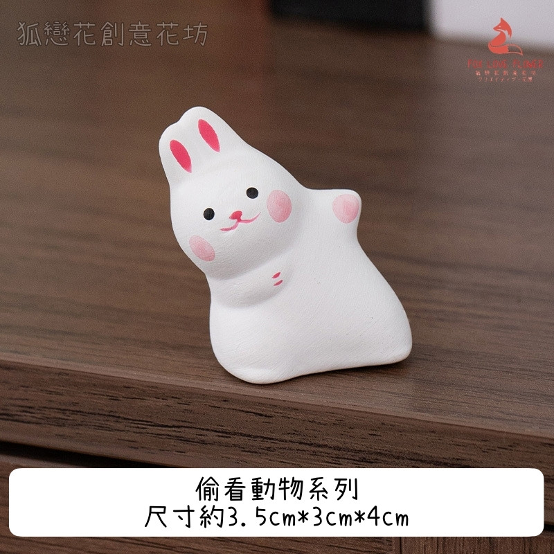 偷看系列❰兔子❱