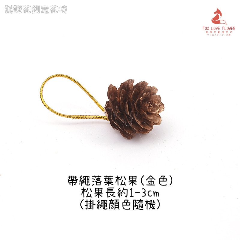 (帶繩)落葉松果❰金色❱(3個),數量以選項為主(掛繩顏色隨機)
