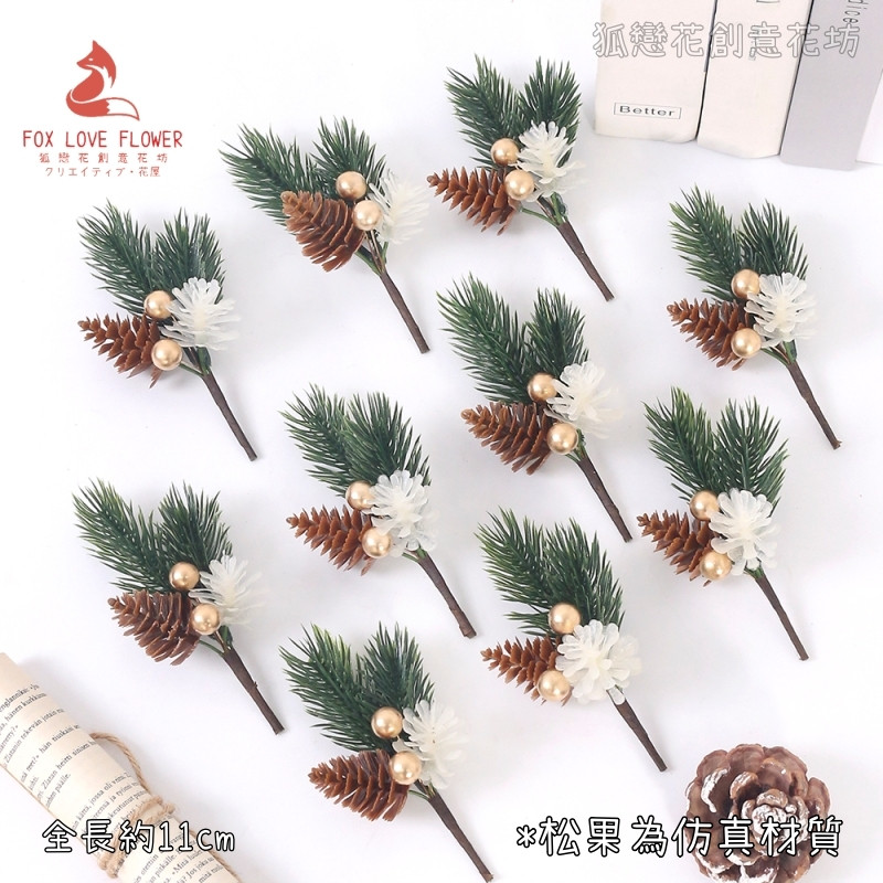 迷你插枝❰二叉諾貝松葉金果❱