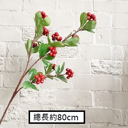 ❰多葉❱冬青(大紅色)