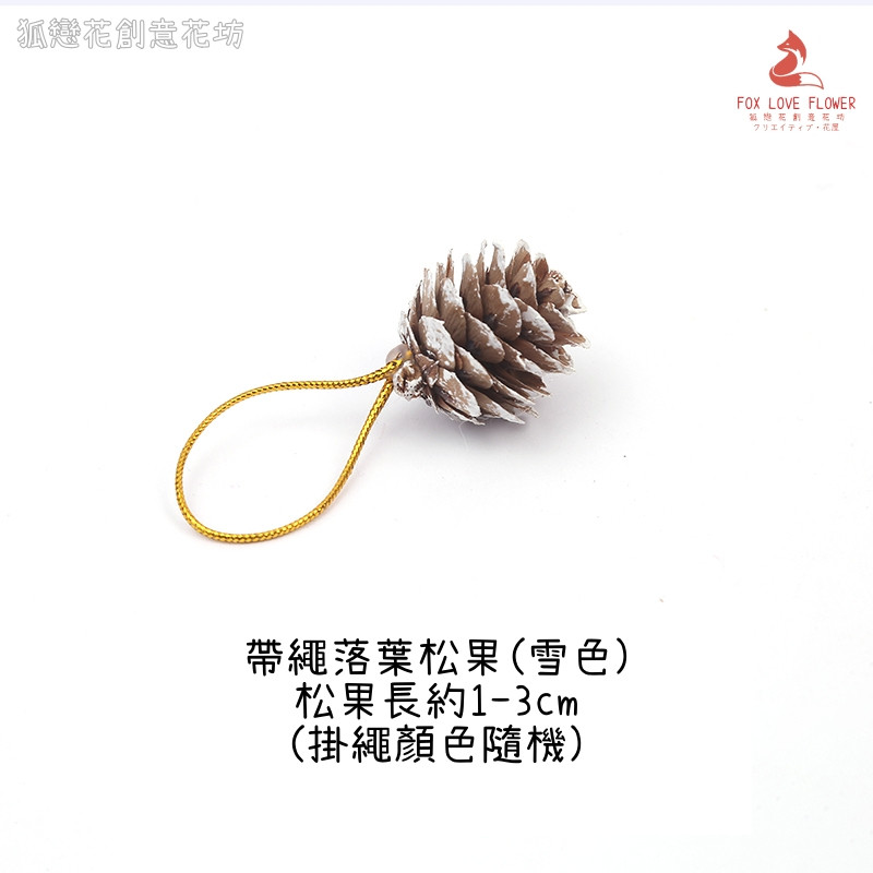 (帶繩)落葉松果❰雪色❱(3個),數量以選項為主(掛繩顏色隨機)