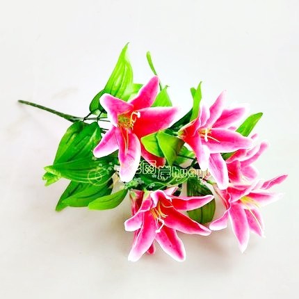 7頭桃色百合,花束價格不含金盆.金盆需另外購買