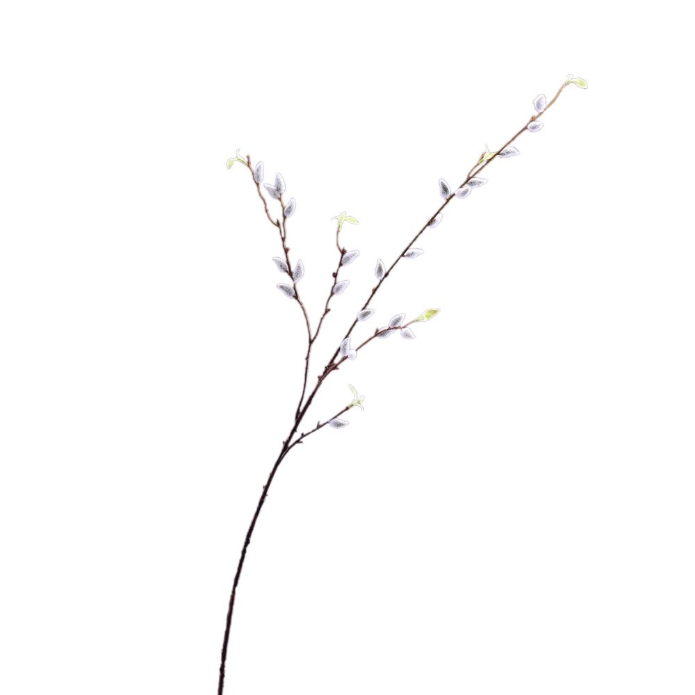 台灣現貨【仿真銀柳插枝】招財銀柳迎新開運仿真花材 80cm90cm100cm帶葉插花盆栽玄關神桌新年佈置 花藝材料
