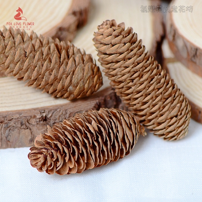 台灣現貨【天然雲杉松果】原色雪色乾燥松果 花圈藤圈佈置 聖誕新年花藝素材 花藝材料 聖誕佈置