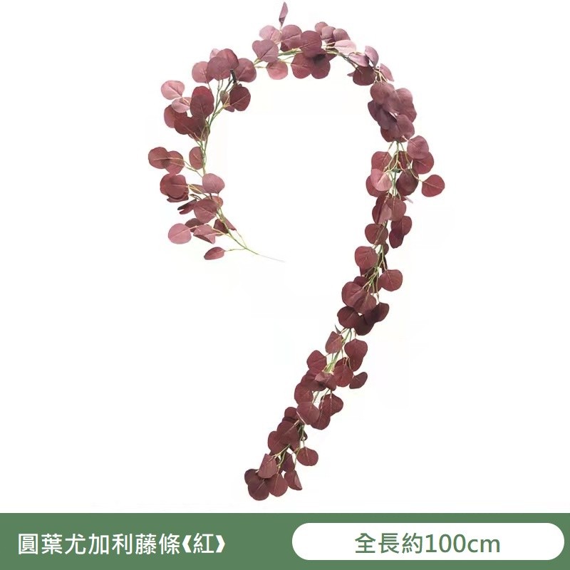 100cm圓葉尤加利❰紅❱,價格為1條的價格