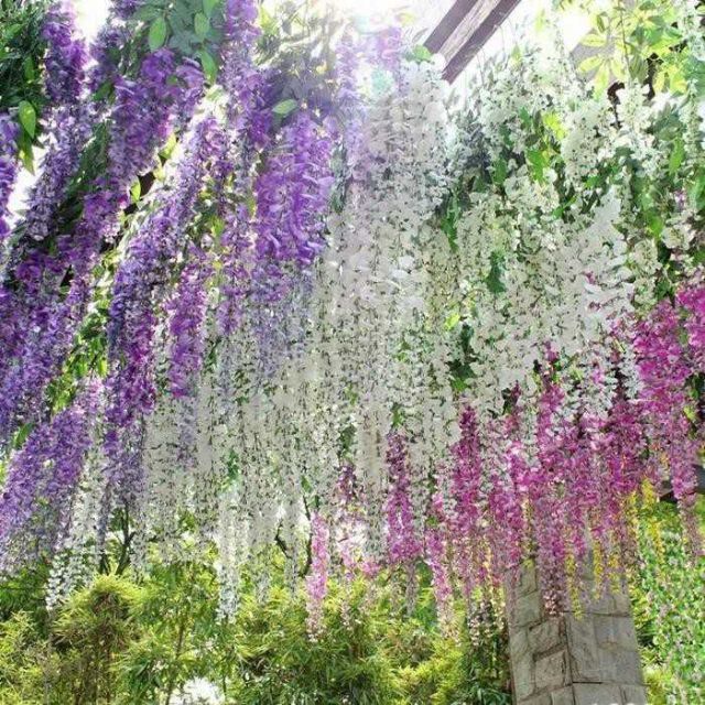台灣現貨【仿真紫藤花串】高垂墜花藤加密加大款 婚禮拱門花牆天花背景 佈景佈置 花藝材料