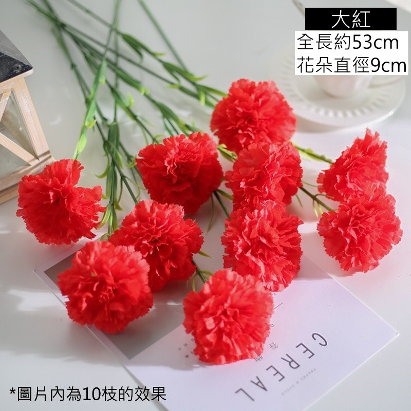 單枝康乃馨❰大紅❱