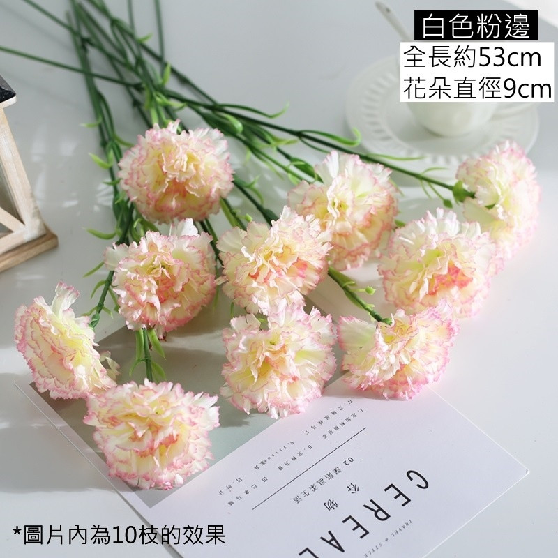 單枝康乃馨❰白色粉邊❱