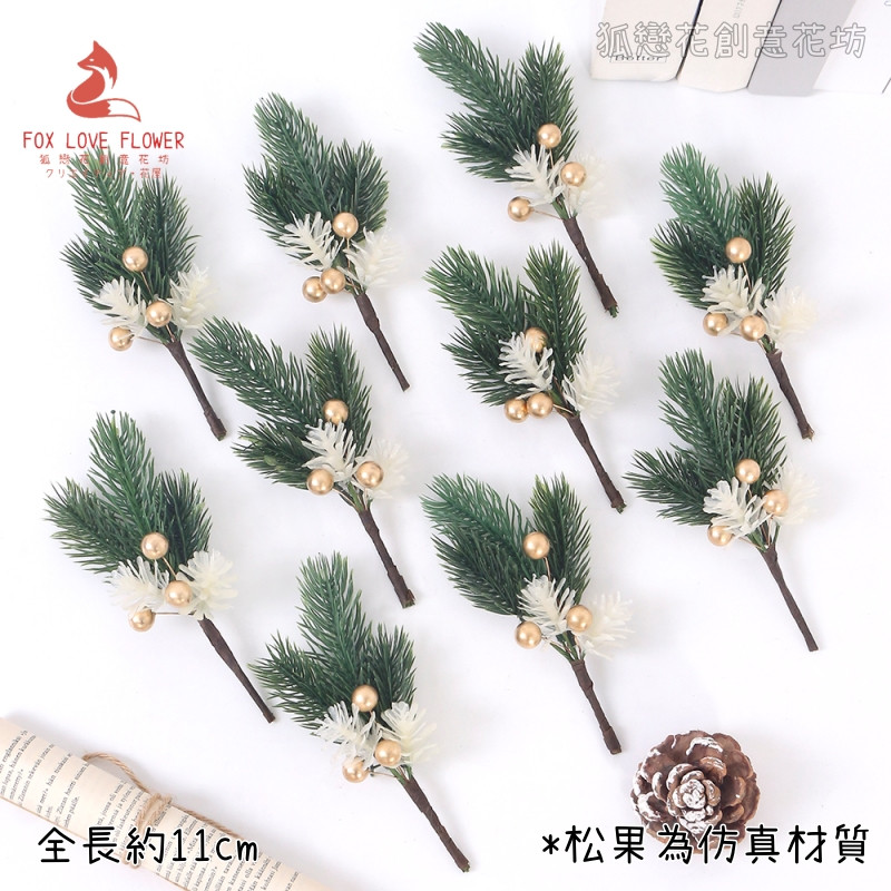 迷你插枝❰三叉諾貝松葉白金果❱