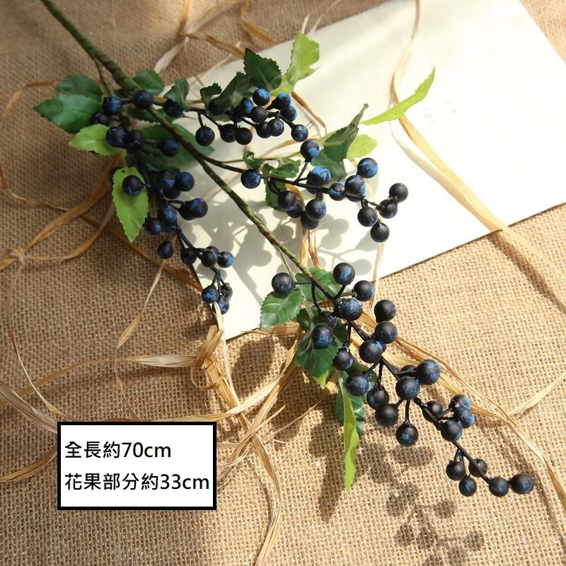 長枝漿果串(藍莓)
