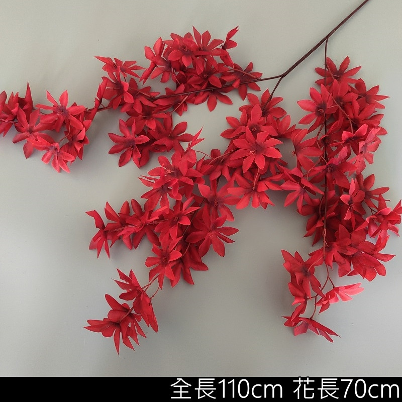 紅色八角花