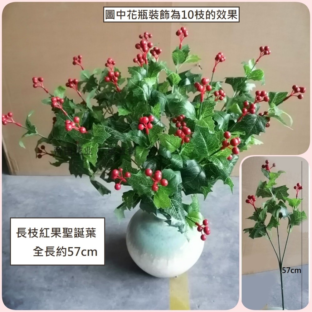 長枝紅果聖誕葉(2枝)