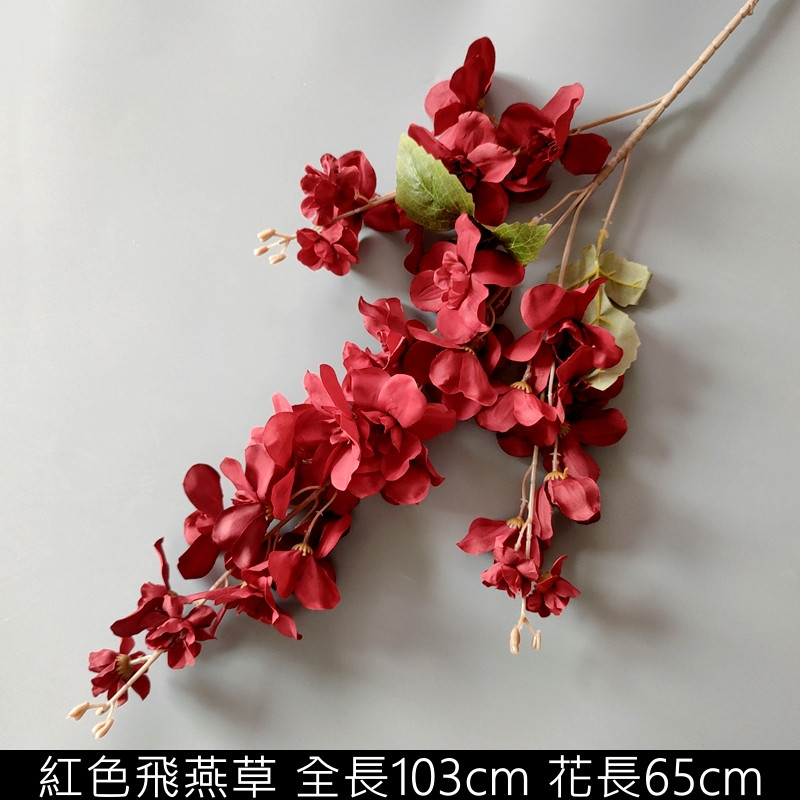 紅色3叉飛燕草