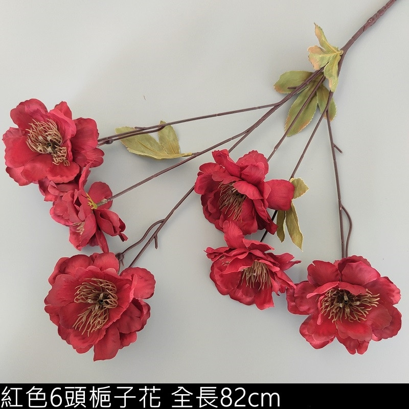 紅色6頭梔子花