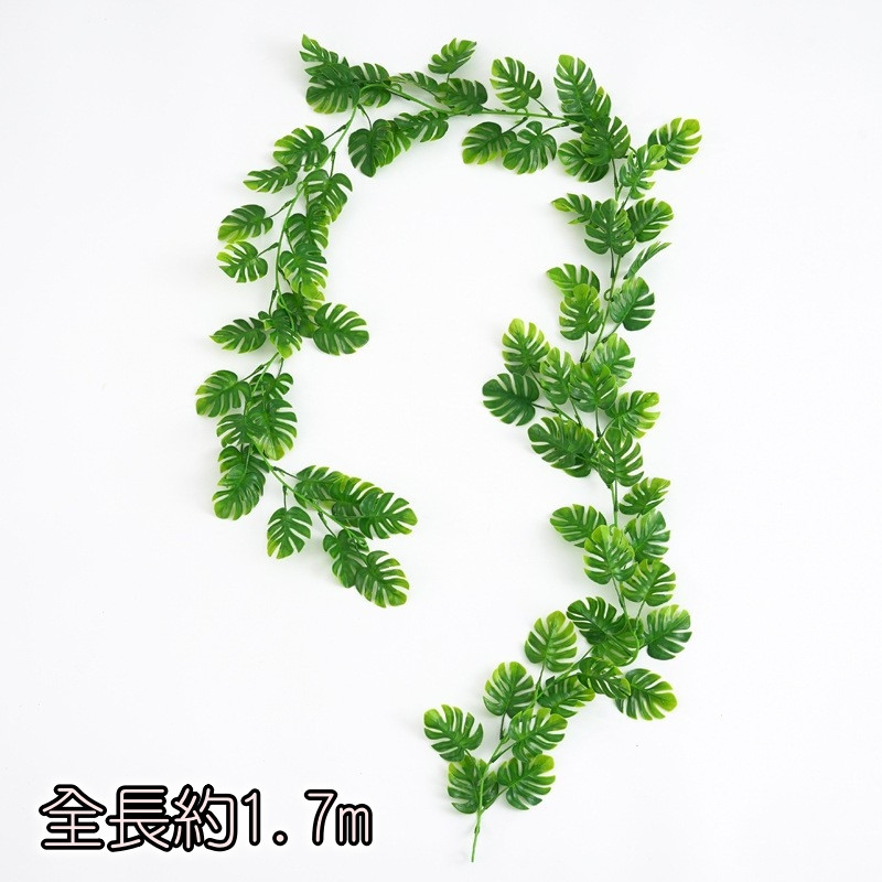 細藤小龜背葉,價格為1條的價格