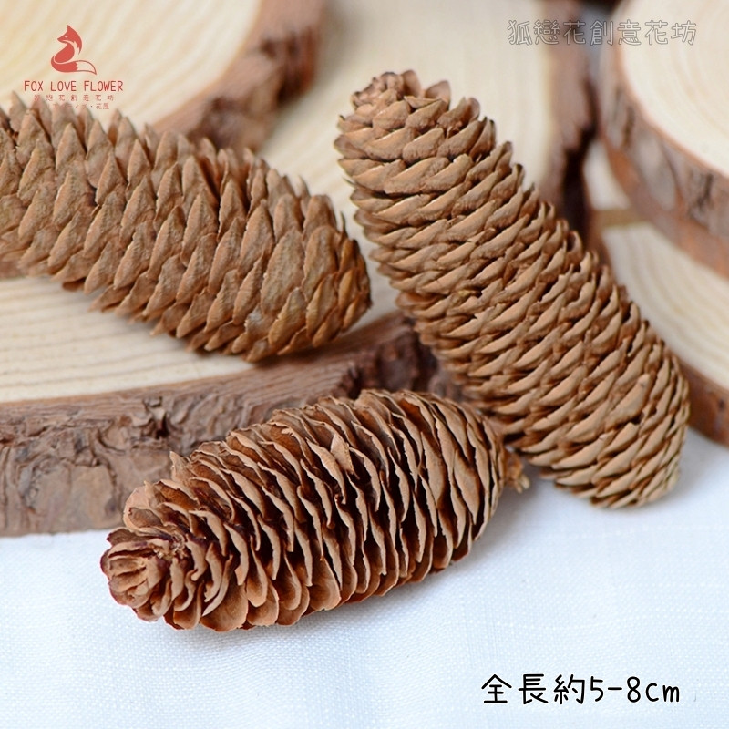 (原色)小雲杉松果(長度5-8cm),選項金額為1顆的單價