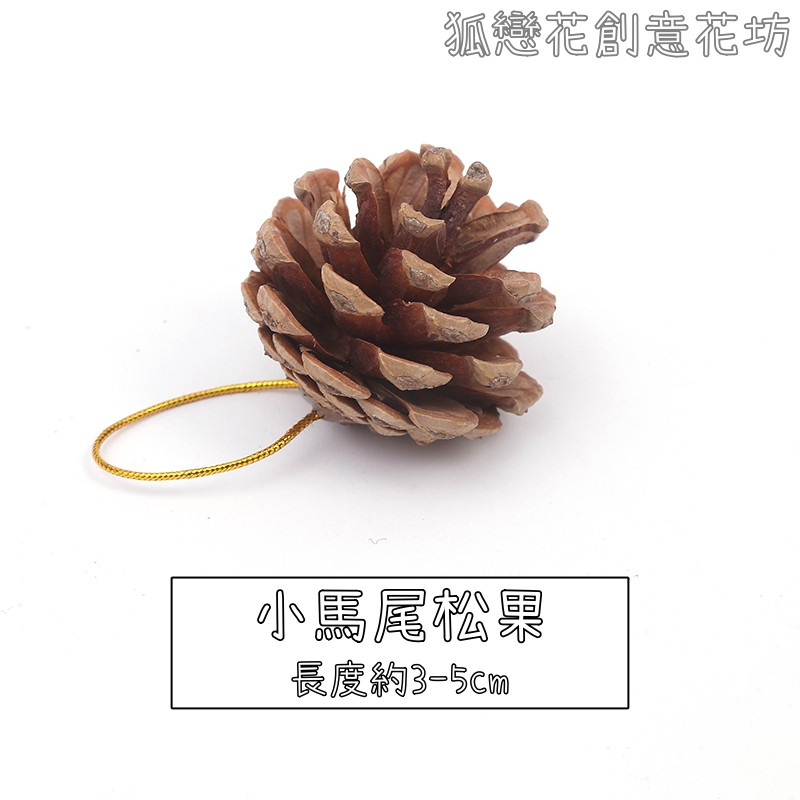 (帶繩)小馬尾松果❰原色❱(2個),數量以選項為主(掛繩顏色隨機)