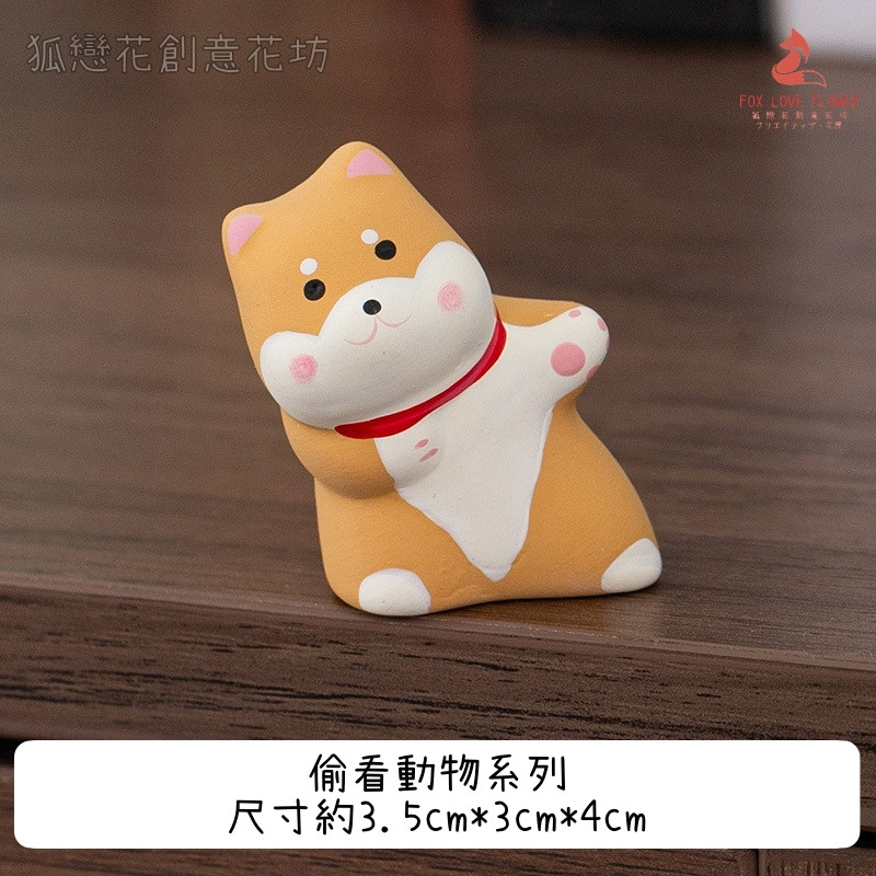 偷看系列❰黃柴犬❱