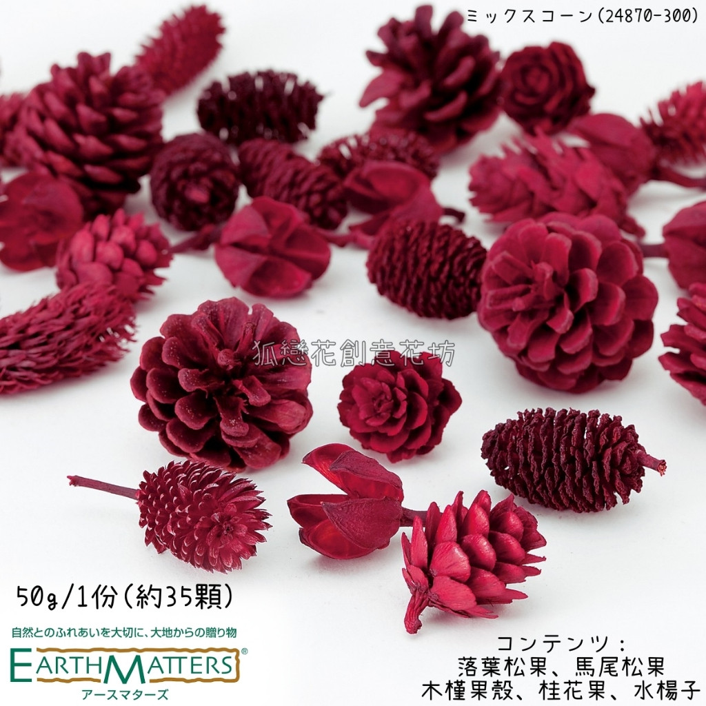 (紅色)松果果實組合(50g)