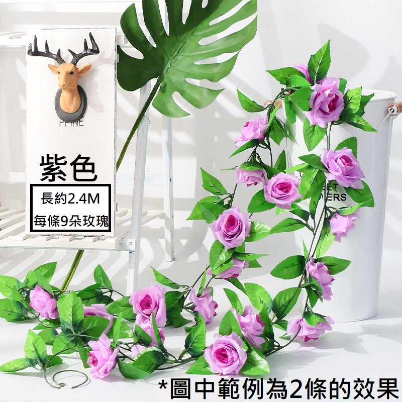 9頭玫瑰❰紫❱,價格為1條的價格