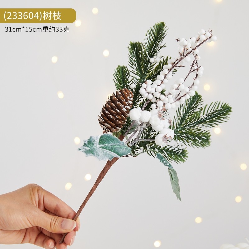 白果諾貝雲杉松果