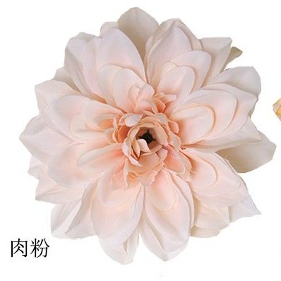 <肉粉>12cm大麗花4朵