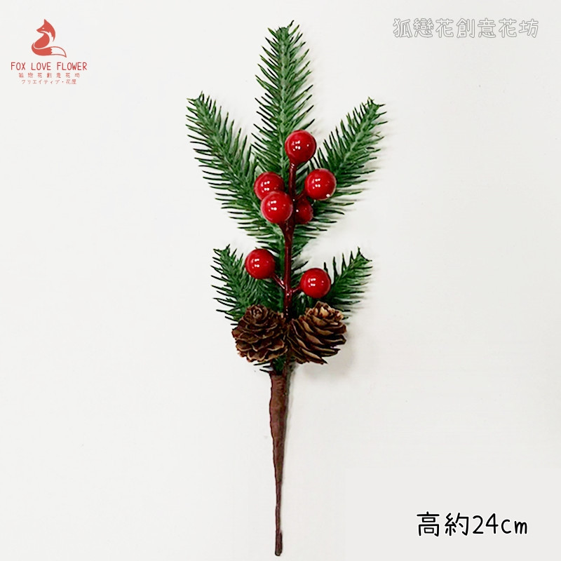 紅果五叉松葉落葉松果