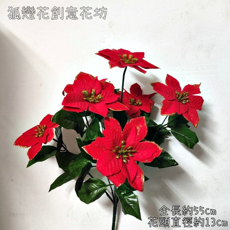 7頭金粉小聖誕紅(42葉),花束價格不含金盆.金盆需另外購買