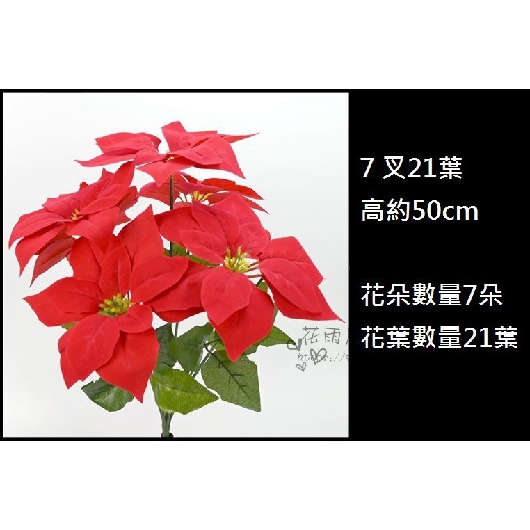 7頭聖誕紅普通款(21葉),花束價格不含金盆.金盆需另外購買