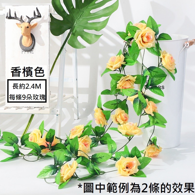 9頭玫瑰❰香檳黃❱,價格為1條的價格