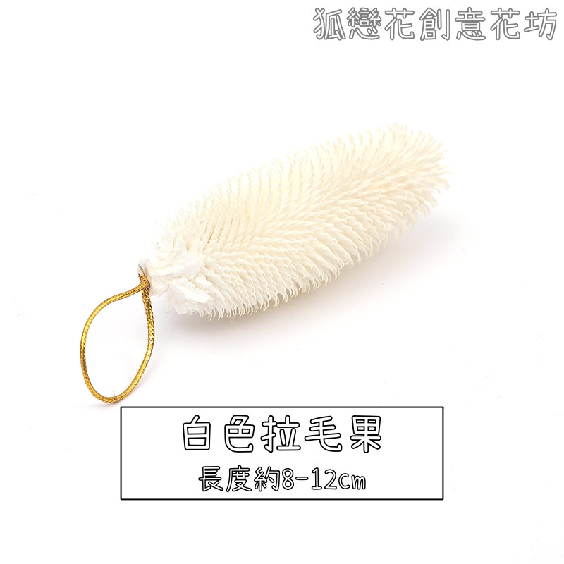 (帶繩)拉毛果❰白色❱,數量以選項為主(掛繩顏色隨機)