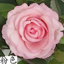 <粉色>12cm大玫瑰4朵