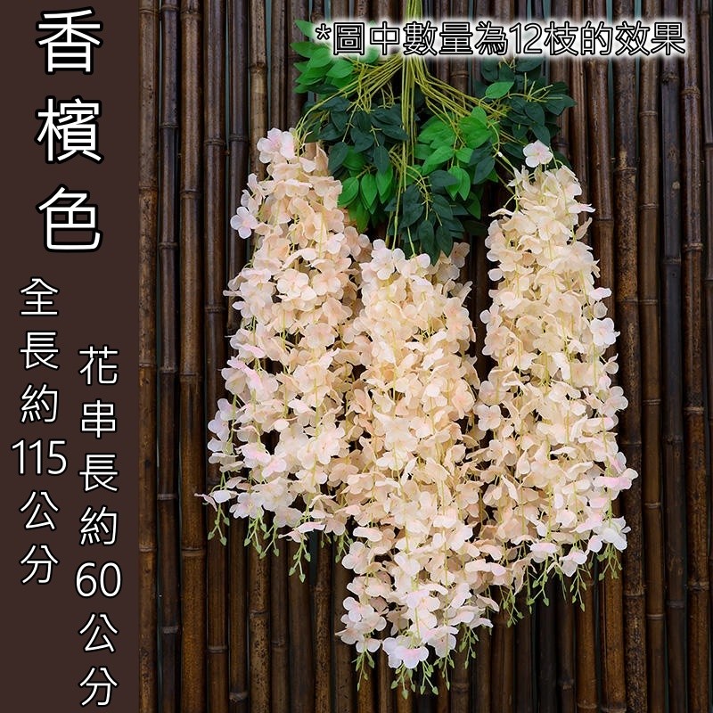 加大加密款❰香檳❱,同款同色買10送2.價格為1枝的價格
