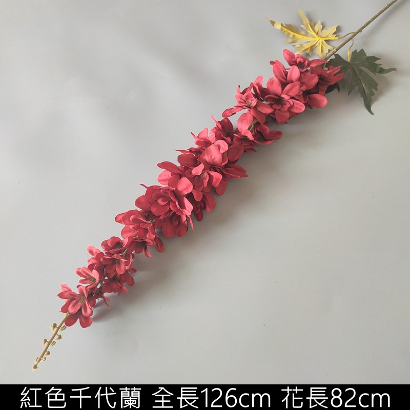 紅色千代蘭