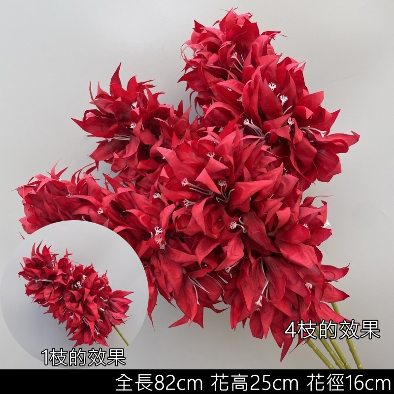 紅色波蘿花