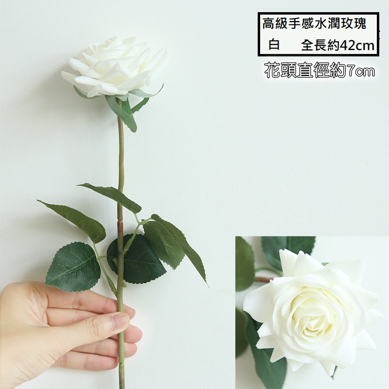 水潤角玫瑰❰白色❱