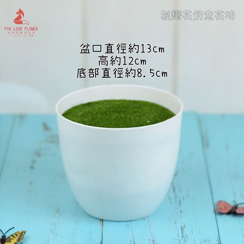 5吋白盆＋綠絨保麗龍,花束價格不含金盆.金盆需另外購買