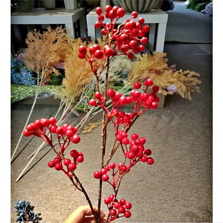 紅果龍葵