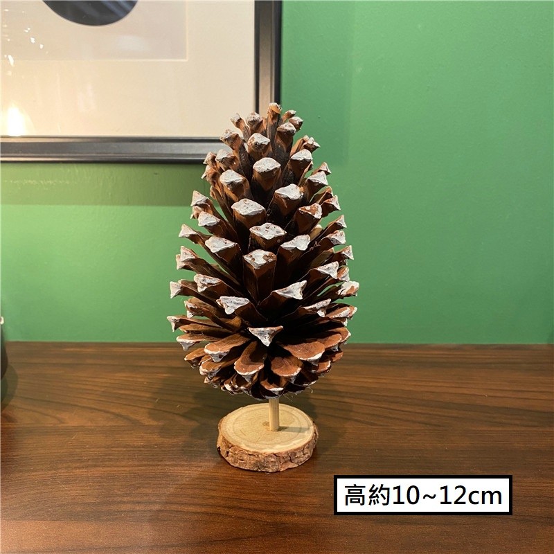 ❰原色❱簡易松果樹(大)