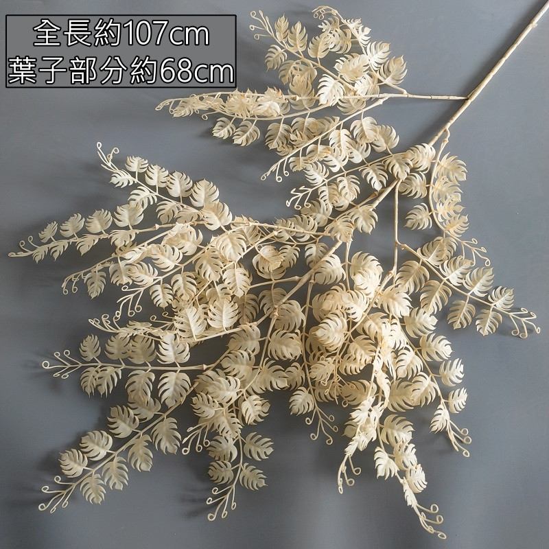 奶白金沙葉