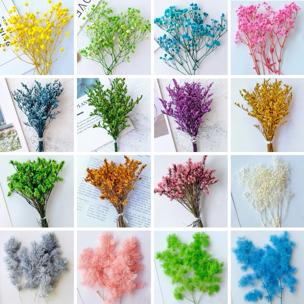 台灣現貨【永生乾燥花材組】刺芹蓬萊松星辰花兔尾草 藤圈花環DIY配材 節慶佈置拍照素材 聖誕佈置 花藝材料 花圈藤圈