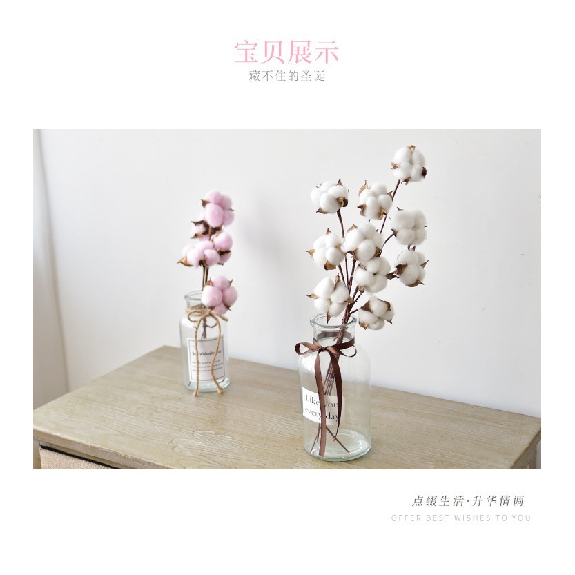 台灣現貨【棉花花材】白色彩色棉花素材 花圈藤圈花束點綴 插瓶佈置 花藝材料