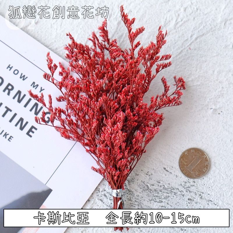 ❰紅色❱短束卡斯比亞(1份)