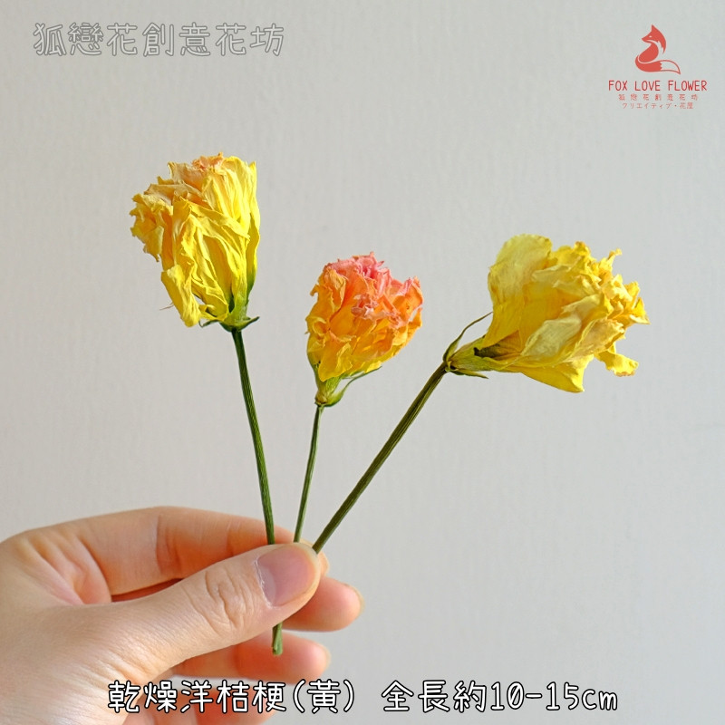 ❰黃色❱乾燥洋桔梗(3枝)