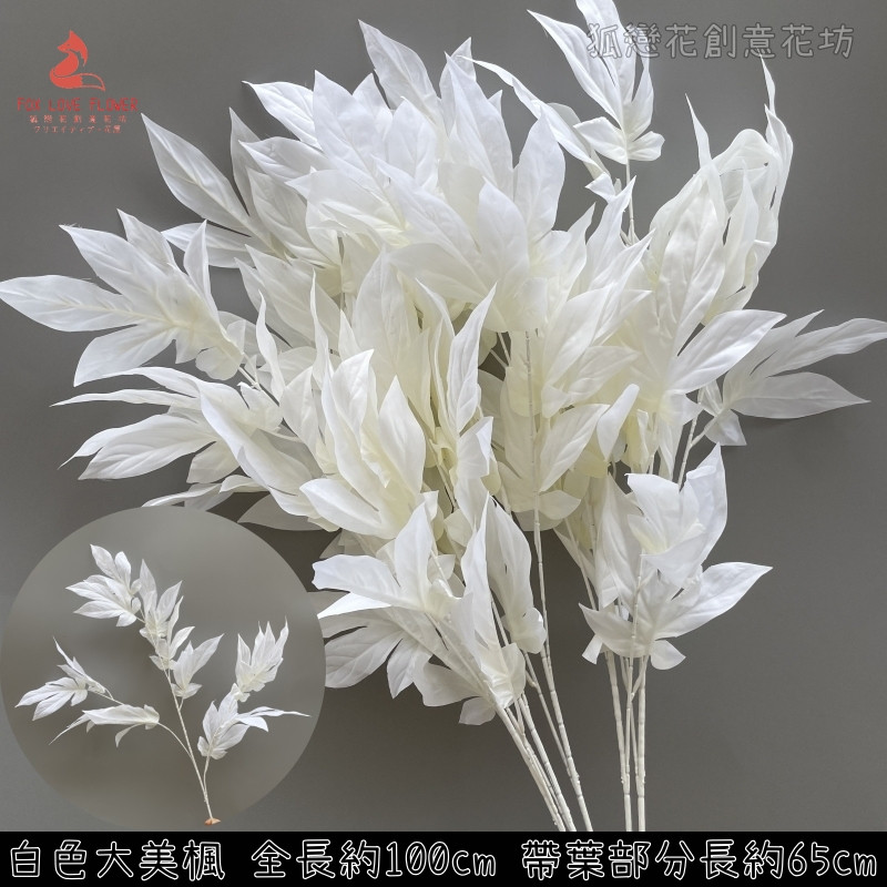 白色大美楓葉