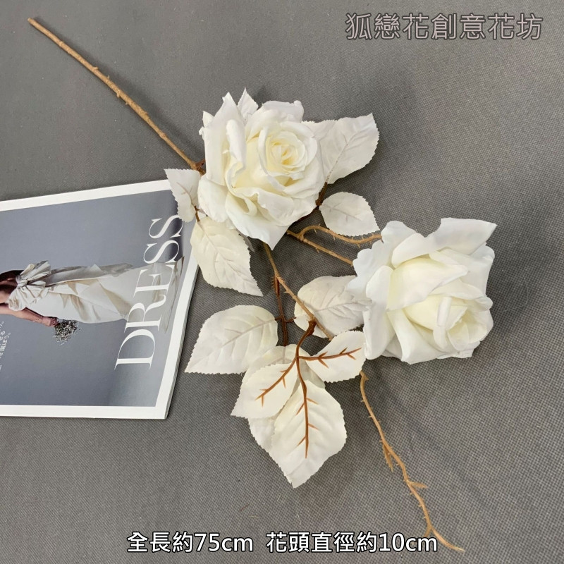 白色2頭莫蘭迪玫瑰