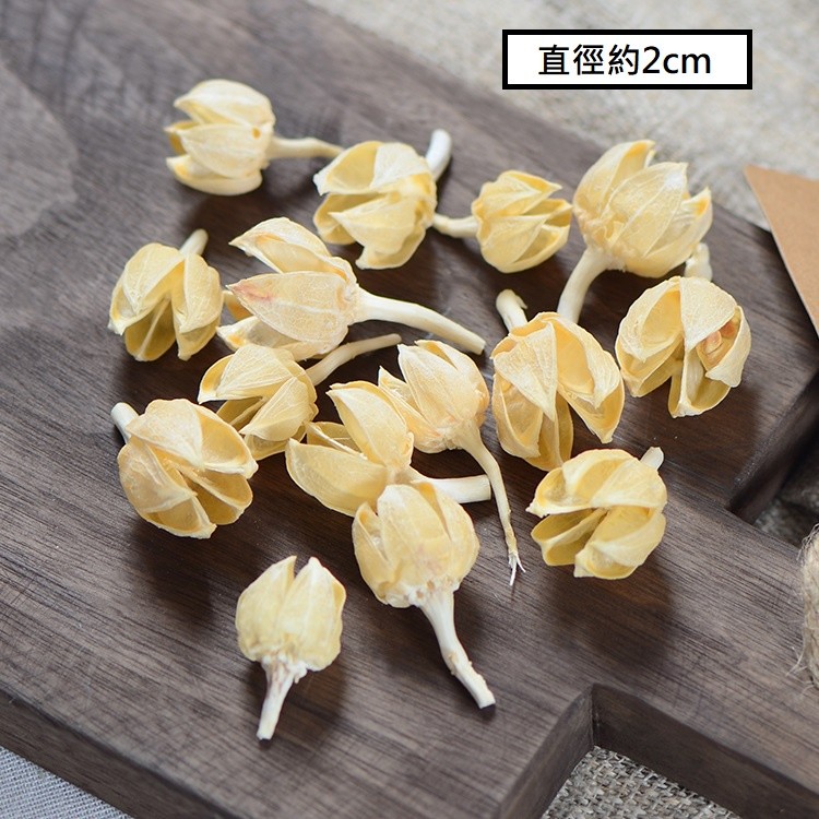 ❰白色❱木槿果殼(10個),數量請以選項為主