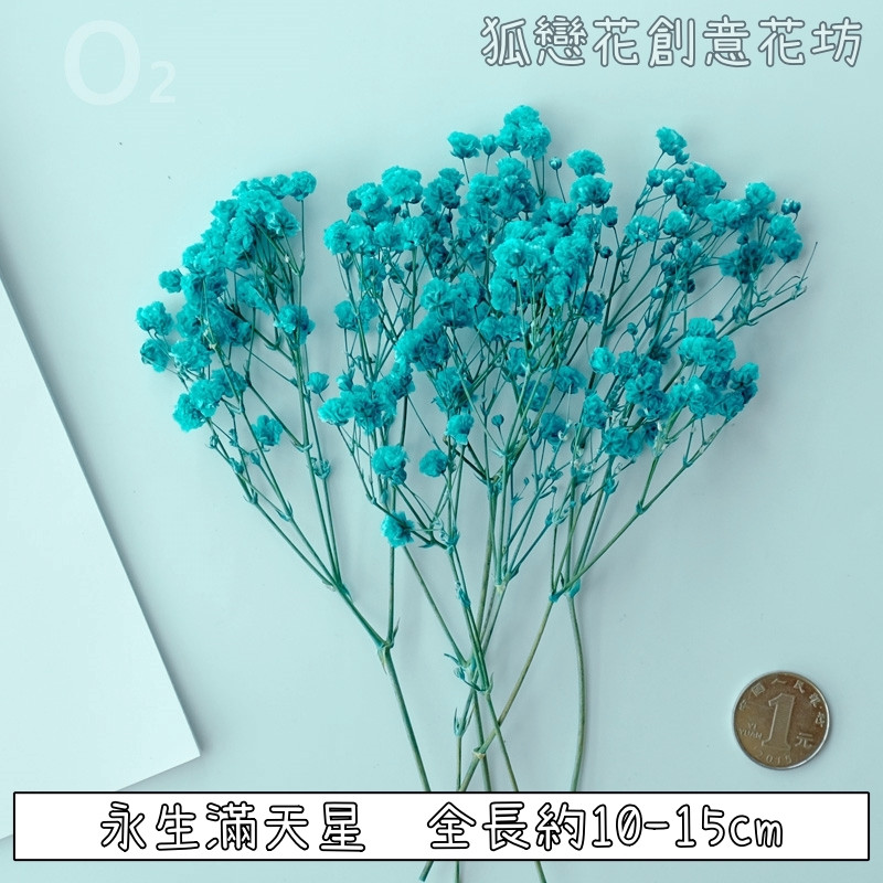 ❰湖藍❱短束永生滿天星(1份)